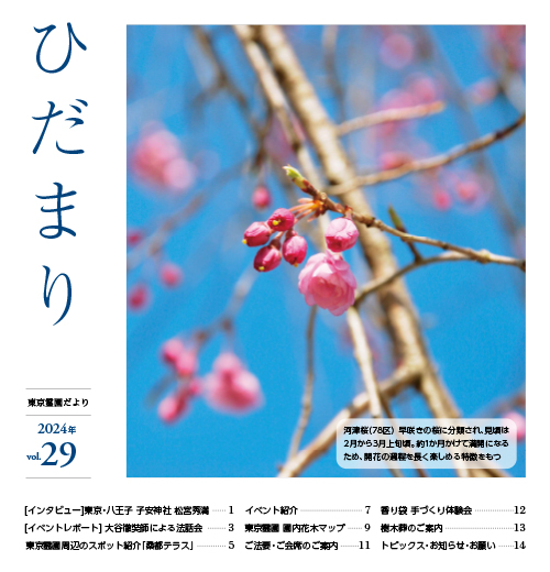 vol.29